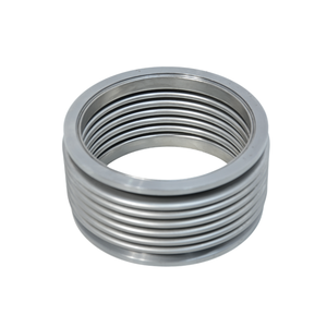 Junta de Expansión Original OEM para Motor de Gas Natural MWM RS-12342478, Piezas de Motor - Product Image 1