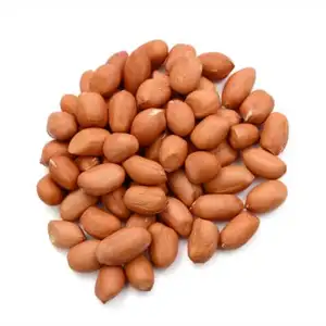 Best Factory Wholesale Jumbo Peanuts blanched peanut 100% Natural Peanut Kernels Cheap shelled Raw Peanuts
