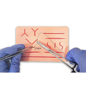 ชุดฝึกหัดเย็บแผลแบบมาตรฐานสีม่วงสำหรับนักเรียนทางการแพทย์ประกอบด้วยแผ่นเย็บซิลิโคนและชุดเครื่องมือ OEM ODM - Product Image 4