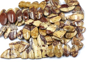 โอปอลธรรมชาติคุณภาพดี ทรงรี หลายสี แบบหลวม สำหรับทำต่างหู - Product Image 3