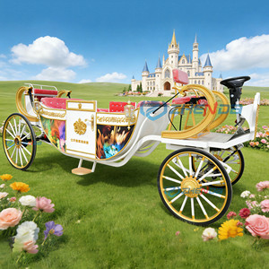 Calèche de mariage de style européen, calèche de tourisme panoramique, calèche royale à toit ouvert pour 6 passagers - Product Image 4