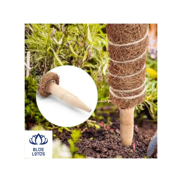 Moss Pole Growth Plan Material Set Coir avec outils de jardin pour plantes grimpantes Coco Fibre de coco extensible empilable