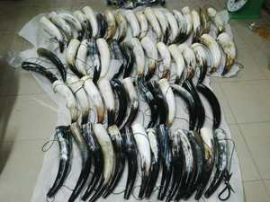 Cuerno vikingo para beber de calidad premium 100% - Product Image 4