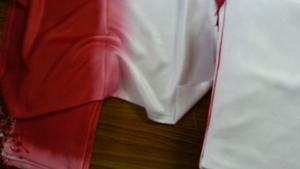 Le plus récent modèle doux rayonne imprimé adulte châle confortable VISCOSE PASHMINA pour le printemps bas prix écharpe traditionnelle - Product Image 6