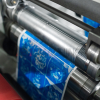 Machine d'impression flexographique à rouleaux de 2 couleurs pour papier d'étiquettes, film et matériaux d'emballage flexibles
