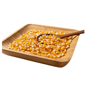 Maïs jaune biologique de qualité 1, non-OGM, 100% pur et naturel, adapté à la consommation humaine et à l'alimentation animale, d'origine indienne - Product Image 4