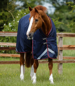 Couverture de cheval imperméable durable 2026, respirante, de qualité supérieure, design équestre personnalisé, couverture de cheval personnalisée - Product Image 1