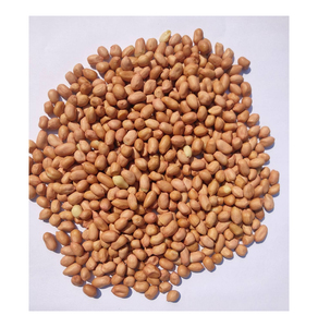 เมล็ดถั่วลิสงแบบลวกเก่า - Product Image 5