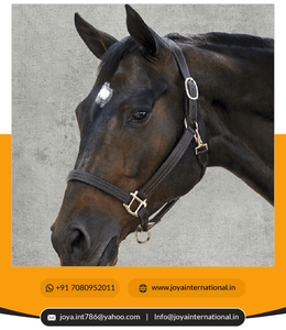 2022คล้องคอแบบสามส่วน - Product Image 4