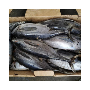 أسماك طازجة مجمدة كاملة مستديرة من مصنع تعليب من المصنع - Product Image 4