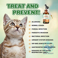 Gouttes liquides antibiotiques personnalisées OEM/ODM pour animaux de compagnie (chiens et chats) – Traitement des infections oculaires, auriculaires et cutanées – Formule vétérinaire à absorption rapide – Durée de conservation : 2 ans