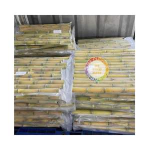 Caña de azúcar congelada fresca mejor venta al por mayor de caña de azúcar congelada a granel cantidad de caña de azúcar para zumo de fruta - Product Image 5