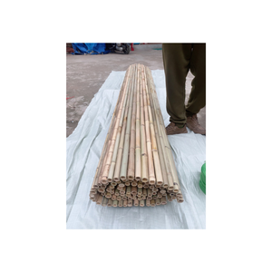 Tube de poteaux de bambou vietnamien pour usage agricole et horticole Poteau de bambou durable et fiable du Viet Nam - Product Image 6