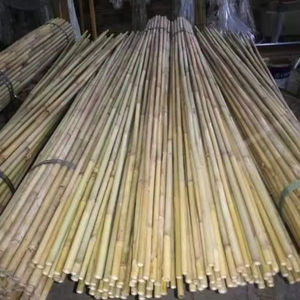Vietnam Bamboo Poles <b>Stakes</b> Bundle 1-10m Long Solid Thick <b>for</b> Agriculture and Construction Home Decorate Bamboo Canes Long Thick - Product Image 1