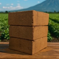 Produk Berkualitas  COCOPEAT  Blok 5kg Sabut Kelapa Berkualitas Tinggi 30x30x13CM  Ekspor Dari Indonesia