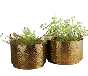 Macetas de Flores de Color Dorado, Diseño de Acabado Colorido, Decoración de Interiores, Macetero de Piso, Diseño de Sala de Estar, Macetas de Metal - Product Image 3