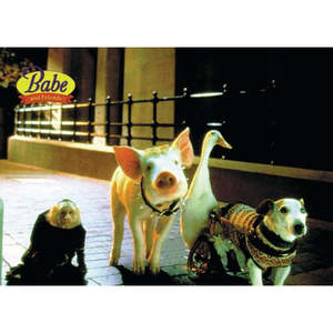 Tarjeta postal con ilustración de cerdito en la ciudad - Product Image 1