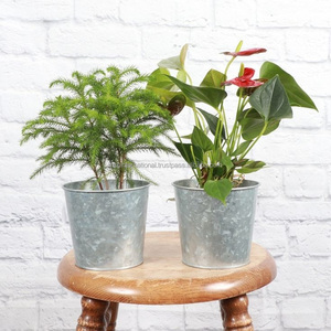 Maceta de metal galvanizado para jardín, soportes rectangulares, macetas colgantes decorativas antiguas para el hogar y el jardín - Product Image 1