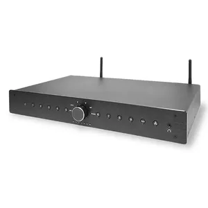 가정용 OEM-ODM 블루투스 스테레오 HiFi 오디오 스트리머 및 APP 제어 스마트 오디오 와이파이/BT 스트리머와 프리 앰프