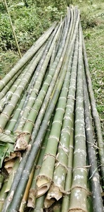 Artesanías de bambú de alta calidad de precios de Vietnam en productos agrícolas de bambú baratos - Product Image 3