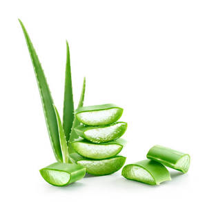 Dés d'Aloe Vera du Vietnam avec taille de cube uniforme et texture douce - Product Image 1