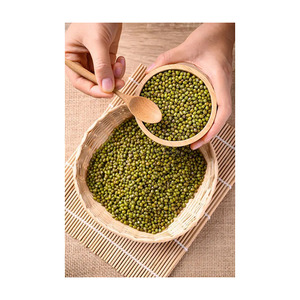 Haricot Mungo en gros, prix bas, approvisionnement en vrac, récolte fraîche - Product Image 6
