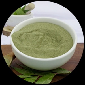 Poudre de Neem de qualité alimentaire pour dentifrice reminéralisant fait maison et soutien de la santé des gencives ayurvédique - Product Image 3