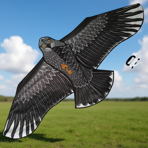 ว่าวเส้นเดี่ยว Bdt ของเล่นกลางแจ้ง *Eagle* พร้อมอุปกรณ์ สายยาว 50 ม. ขนาด 180x85 ซม. - Product Image 3