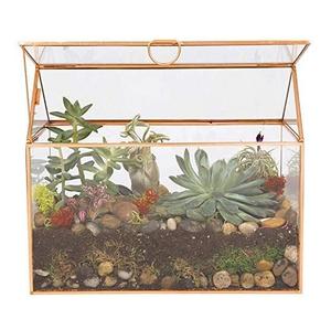Terrario de cristal dorado superventas para suculentas y decoración del hogar, maceta de cristal con forma de cabaña de mesa decorativa para plantas de interior - Product Image 1
