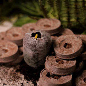 Coco peat-Tapón de disco de coco, pastillas de musgo, sistema hidropónico vertical para agricultura - Product Image 6