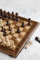 Jeu d'échecs écologique portable en métal magnétique, fait main, haute qualité, design moderne, pour intérieur et extérieur, cadeaux, vente en gros
