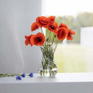 Vase en verre Serendipity - 7.1 (Couleurs variées) VFS2807 - Product Image 5