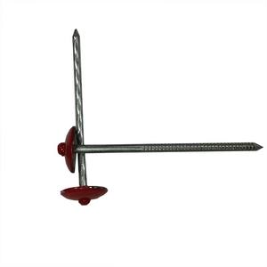 Clavos Con <span class=keywords><strong>Golillas</strong></span> Bwg2.5 - Product Image 5