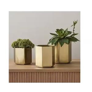 Modern Golden Brass Planter <b>Pot</b> <b>for</b> Home Decor Ideal <b>for</b> <b>Succulents</b> Living Room Office or Balcony Display Accent - Product Image 6