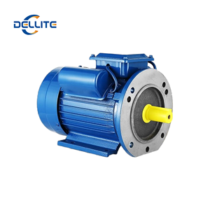 Dellite Single phase động cơ cả<span class=keywords><strong>m</strong></span> ứng tiết kiệ<span class=keywords><strong>m</strong></span> năng lượng 220V 0.75HP tụ bắt đầu AC cho ghép hình hiệu quả cao tùy chỉnh - Product Image 6
