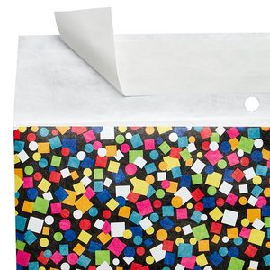 Patterned Poly Bubble Mailers 11 X 15-1/2 Removable Foam Liner for Shipping & <b>Camera</b> Packaging - Product Image 2