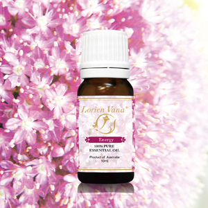 น้ำมันหอมระเหยกุหลาบบริสุทธิ์ 100% - ซีรีส์ไวทาลิตี้ อโรมาเธอราพีจากธรรมชาติ - Product Image 1