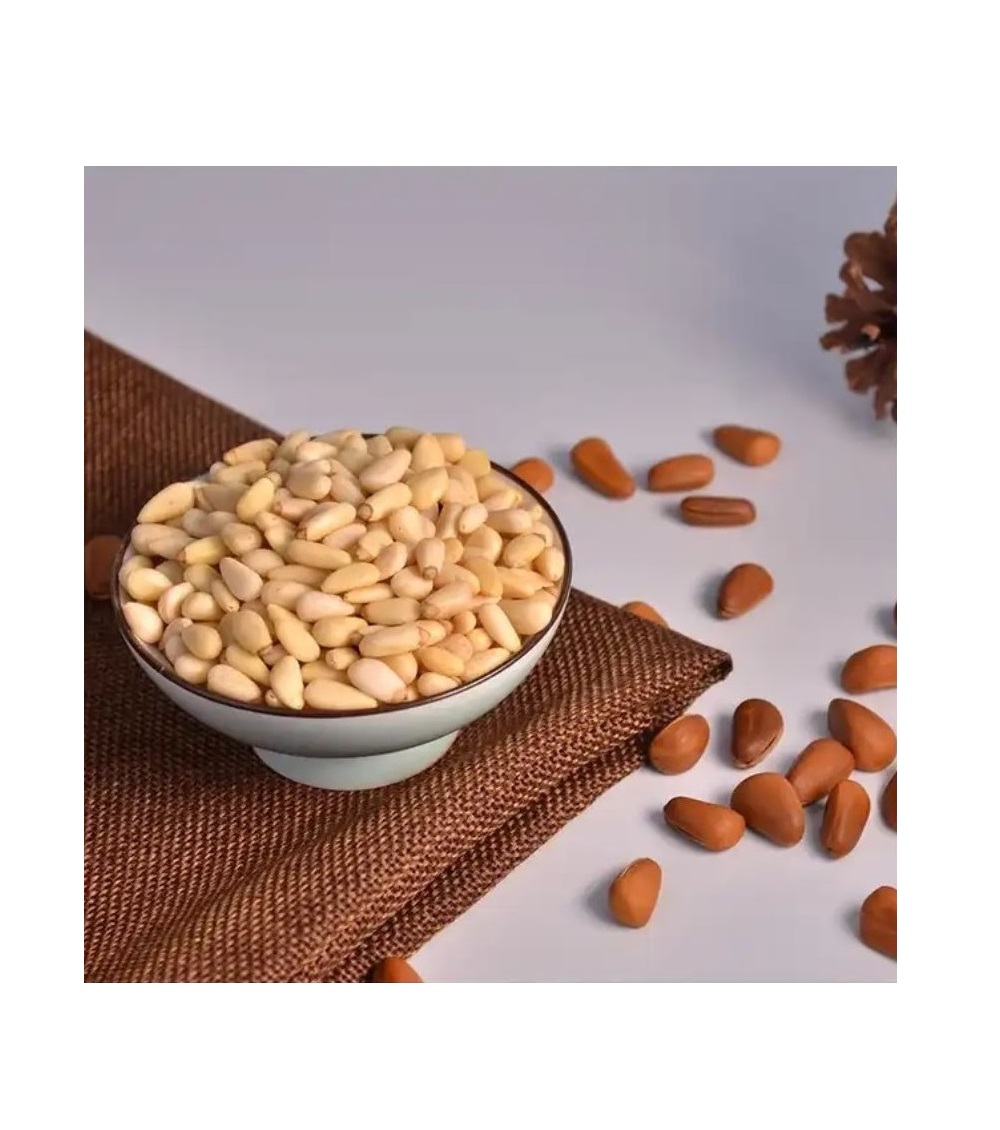 Premium Pine Nuts for Sale in Bulk Ideal for Wholesale Purchases Fresh Natural and Perfect for Food Businesses