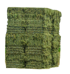Heno de alfalfa a precio muy barato/calidad Rhodes Grass Hay Alfalfa - Product Image 5