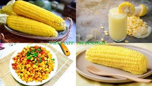 Maïs sucré en conserve de qualité supérieure grains de maïs en conserve légumes de maïs en conserve paquet personnalisé - Product Image 5