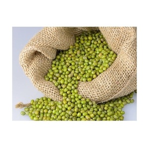 Haricots mungo de haute qualité en gros, 3,8 mm, grande taille, haricots Vigna, haricots mungo verts pour germination - Product Image 3