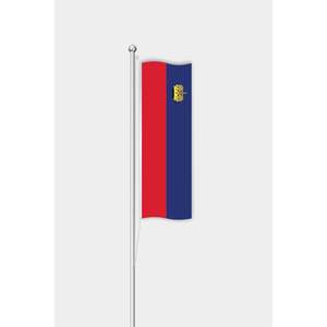 Drapeau du Liechtenstein personnalisé 3x5 pieds pour extérieur, impression numérique sur polyester avec mât en aluminium - Product Image 1