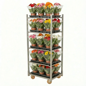 Carretilla de Mano con Estructura de Acero Cerrada, Capacidad de 500 kg, con Cuatro Ruedas - Product Image 1