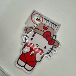 Tuiles magnétiques pour cils en acrylique Hello Kitty en forme de cœur rouge, fleurs, diamants, carrés, réutilisables, étiquette privée, extensions de cils - Product Image 5