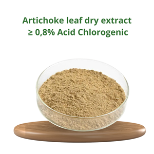Suministro directo de fábrica Extracto de hoja de alcachofa salvaje Polvo 0.8% Ácido clorogénico Suplemento alimenticio saludable - Product Image 2