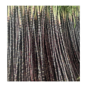 อ้อยแช่แข็งจำนวนมากทำความสะอาดล้างและตัดตามขนาดตัวเลือกที่ดีที่สุดสำหรับการผลิตน้ำผลไม้และการผลิตเครื่องดื่ม - Product Image 4