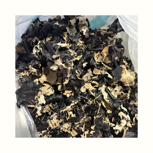 Champignons noirs séchés pour soupes, hot pots, sautés et applications culinaires variées - Product Image 2