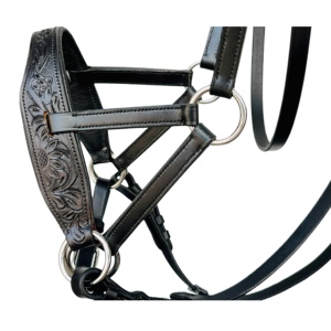 Bride sans mors de cheval en cuir huilé noir avec boucles en acier inoxydable rênes en cuir et rembourrage en peau de vache souple - Product Image 3