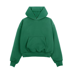 Sweat-shirts à capuche unis en molleton épais de 350 g/m², personnalisables avec logo, pour homme, grande taille, style streetwear - Product Image 1