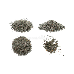 Semillas de canola Premium al por mayor con suministro de calidad asegurada - Product Image 6